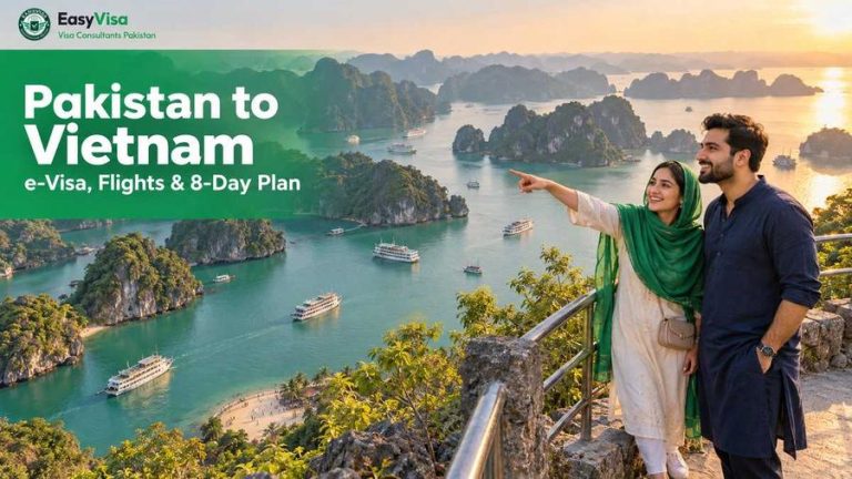 Pakistan to Vietnam trip guide - Pakistani brother and sister at the Ti Top Island viewpoint above Ha Long Bay with cruise boats among the limestone islands